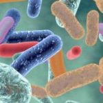 Group logo of Microbiome Matters